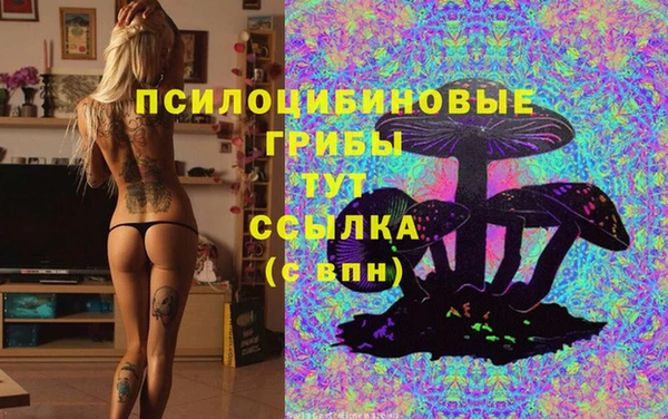 ешки Балахна