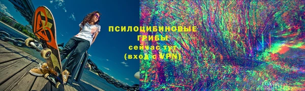 ПСИЛОЦИБИНОВЫЕ ГРИБЫ Балабаново