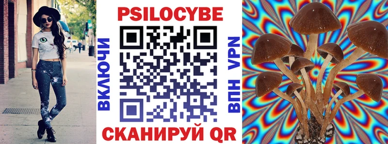 MEGA   Новосиль  Псилоцибиновые грибы ЛСД 